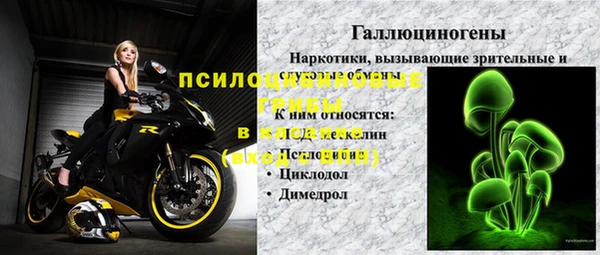 Альфа ПВП Белокуриха