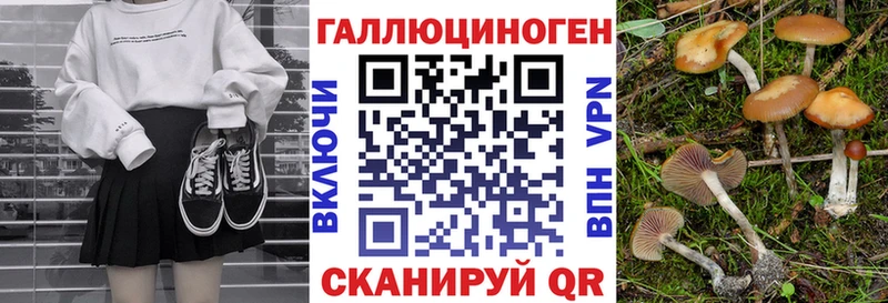 МЕГА ТОР  Великие Луки  Псилоцибиновые грибы Cubensis 