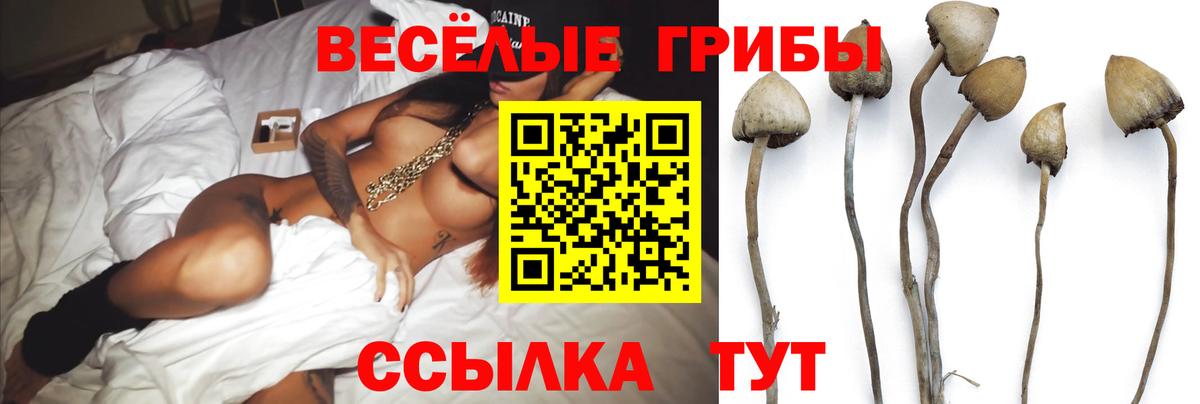 Великие Луки  Псилоцибиновые грибы мицелий  Вход с VPN 