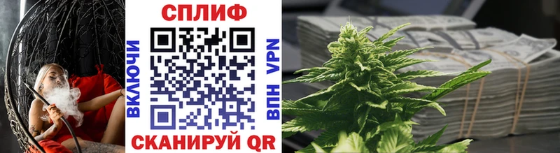 Бошки Шишки план  Великие Луки 